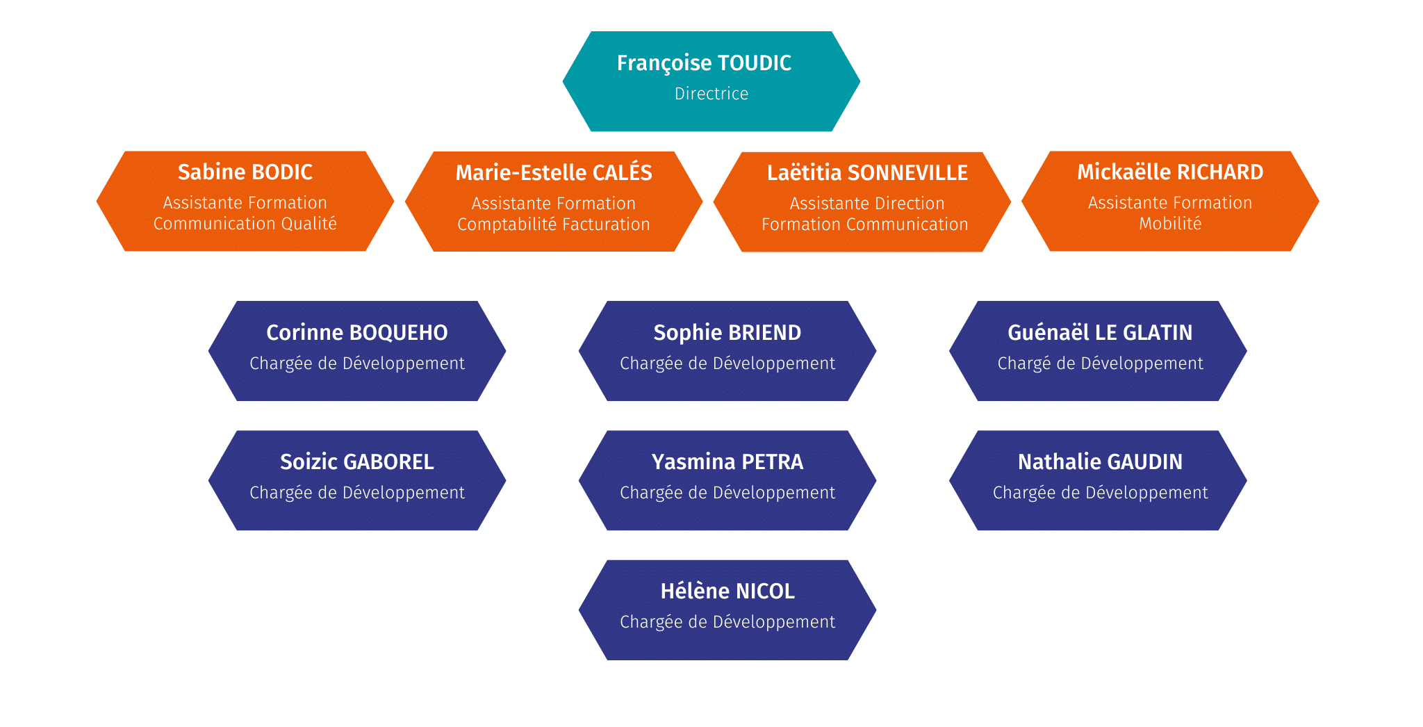 Organigramme de l'équipe du CFA de l'ARFASS